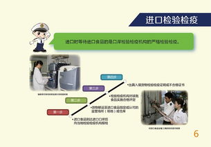 出口食品安全探秘 技術(shù)引進(jìn)與風(fēng)險把控的現(xiàn)代法則